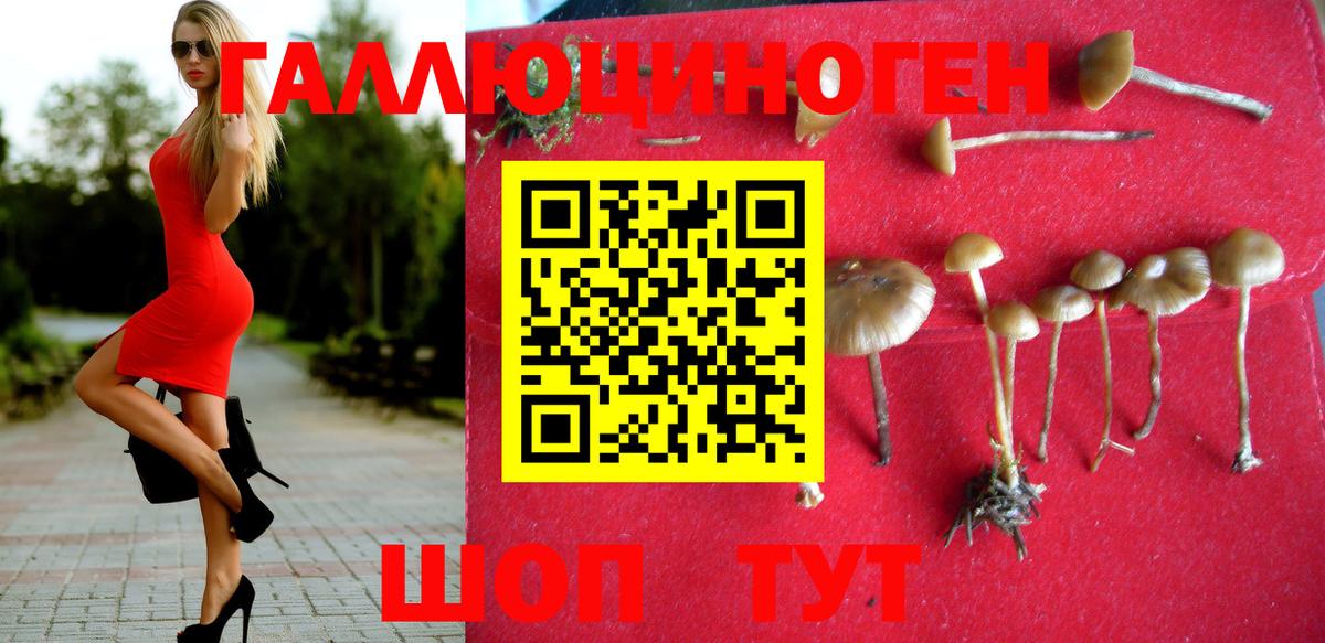 Псилоцибиновые грибы MAGIC MUSHROOMS  Вход с VPN  Волгодонск 